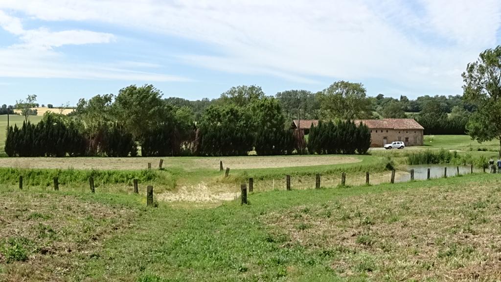 Photo après-travaux des mares restaurées à Mourvilles-Basses