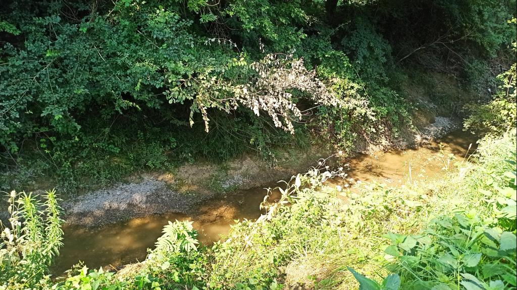 Photo de la Vendinelle à Auriac sur Vendinelle