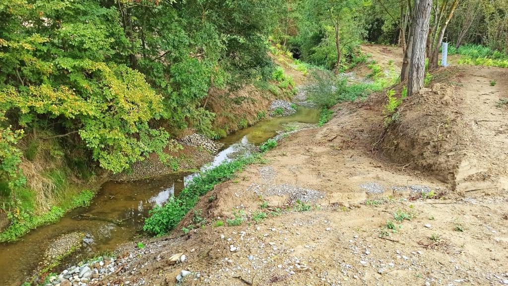 travaux de renaturation du lit et des berges de la Vendinelle à la Salvetat-Lauragais