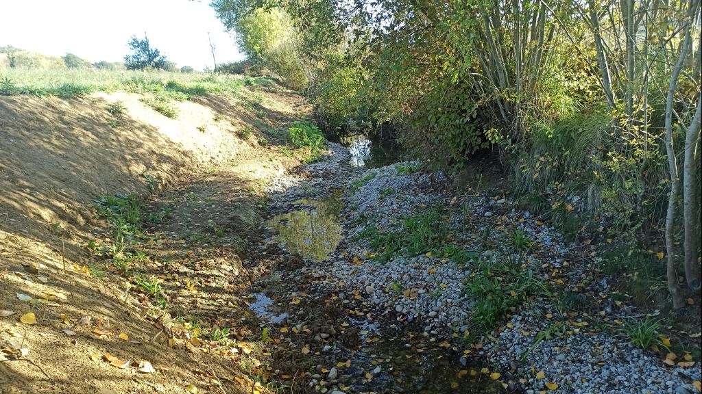 Photo du Peyrencou après travaux de renaturation au Faget