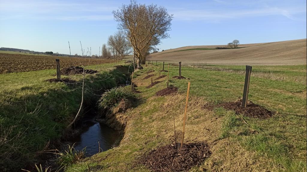 Photo de la Seillonne renaturée à Lanta