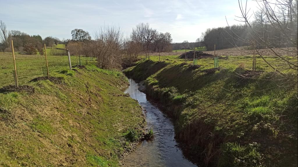 Photo de la Sausse à Gauré après travaux de renaturation