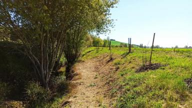 photo du lit de la Seillonne et des berges retalutées