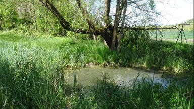 Photo de la zone humide en bord du Girou