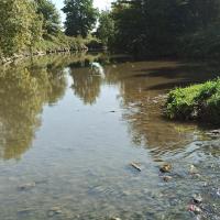 photo du lit de l'Hers sur la commune de Bruguières