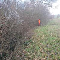 Photo de l'entretien de la végétationsur les bords de la Sausse