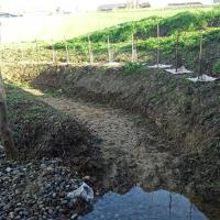 Photo du chantier de plantation sur le Dagour à Bourg Saint Bernard