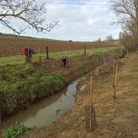 Chantier de plantations des berges de la Seillonne à Lanta