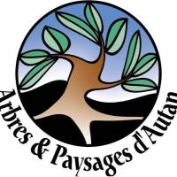 logo d'APA