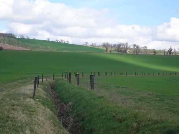 Chantier de plantations sur la Marcaissonne amont La Marcaissonne amont