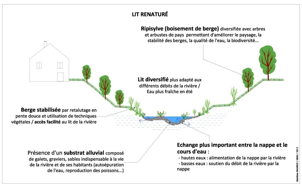 Schéma explicatif d’un cours d’eau renaturé Schéma explicatif d’un cours d’eau renaturé