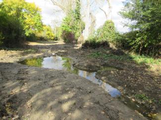 photo de la zone humide après travaux 