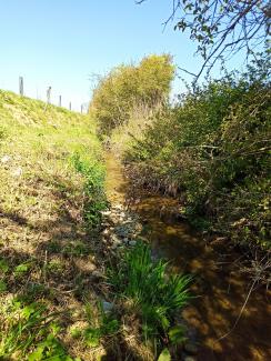 vue du lit et des berges après renaturation