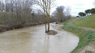 chenal en eau - hautes eaux 2019