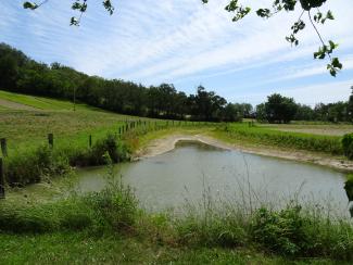 Photo après les travaux des mares restaurées à Mourvilles-Basses