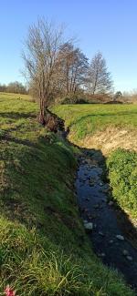 Photo du Girou après travaux à Puylaurens