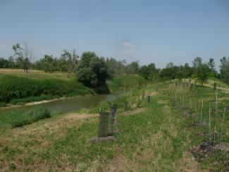 Photos des plantations en berges de l'Hers à Castelnau d'Estretefonds