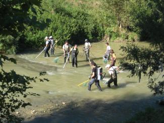 Photo de la pêche électrique de suivi avant travaux (2013)