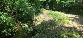 Amenagement des berges de la Vendinelle à la Salvetat Lauragais