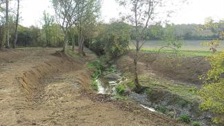 Amenagement des berges de la Vendinelle à la Salvetat Lauragais