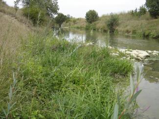 Photo de l'aménagement des berges de l'Hers - Après travaux (2006)