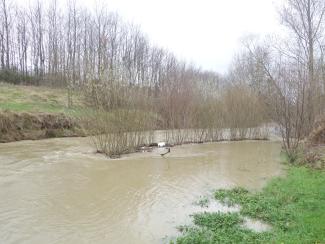 Photo de l'Hers à Balma Lasbordes, en crue en 2017