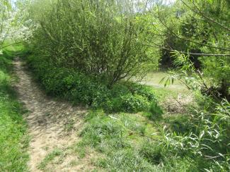 Photo de l'Hers à Balma Lasbordes, après les travaux de renaturation en 2017