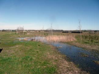 Photo d'une mare créée à proximité des berges - Toulouse Ribaute