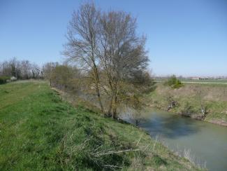 Photo du lit et des berges de l'Hers, amont du site, avant travaux (2013)