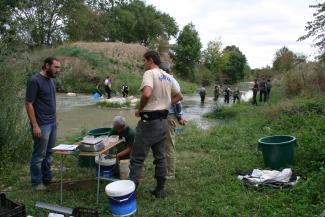 Photo de la pêche de suivi après travaux sur l'Hers à Launaguet