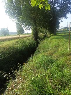 Berges et du lit du Peyrencou avant travaux