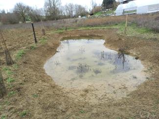 Mare en eau après travaux (janvier 2024)