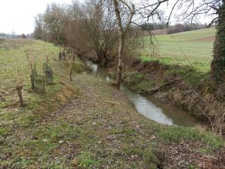 Peyrencou après travaux de plantations (janvier 2024)