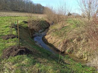 Photo de la Sausse après travaux (janvier 2024)