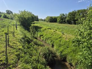 Photo de la Sausse après travaux (avril 2026)