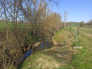 Photo des berges de la Vendinelle à la Salvetat Lauragais après travaux 2024