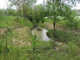 Photo des berges de la Vendinelle à la Salvetat Lauragais