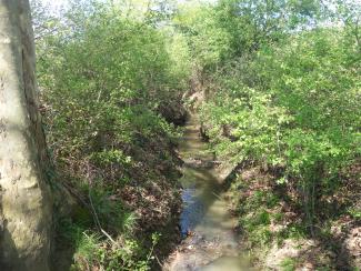 Photo de la Marcaissonne à Mourvilles-Basses