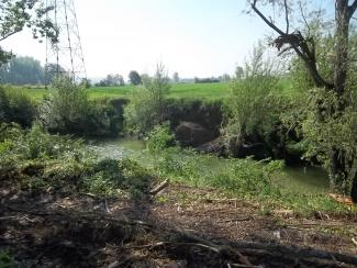 photo des berges du Girou au niveau de la ligne à haute tension après entretien