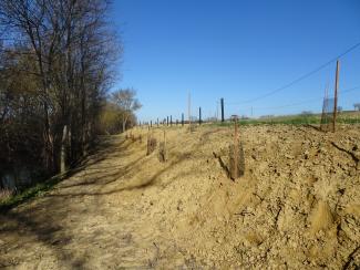 Plantations d'arbres et arbustes le long de l'Hers à Renneville