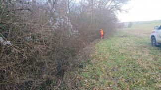 Photo de l'entretien de la végétationsur les bords de la Sausse