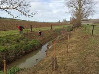 Chantier de plantations des berges de la Seillonne à Lanta