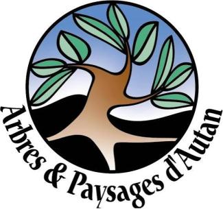 logo d'APA