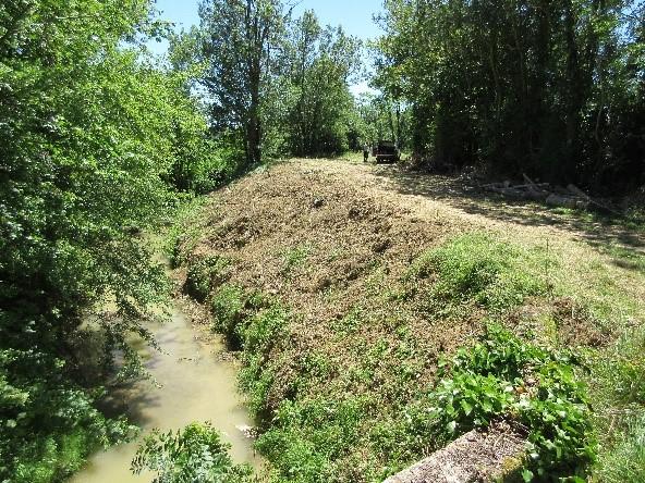après arrachage Berges de la Vendinelle nettoyé du foyer d'ailantes (Ailanthus altissima)