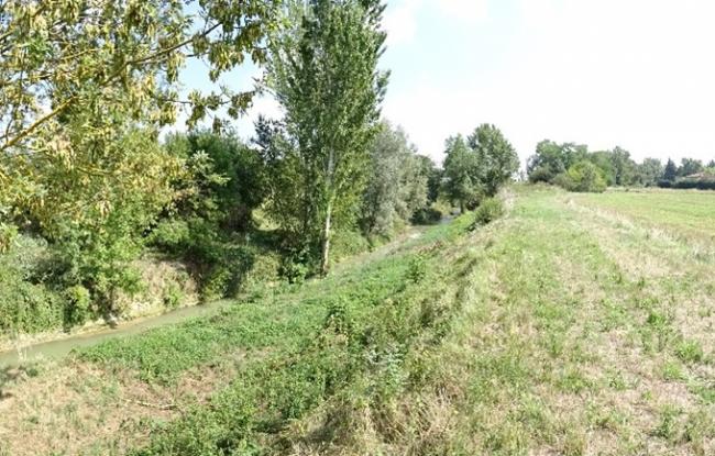 avant travaux Berges de l'Hers à Labège