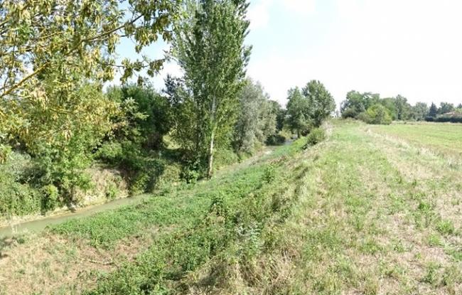 Berges de l'Hers à Labège