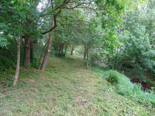 photo des berges de l'hers avec une ouverture du lit moyen pour passage de l'eau en crue