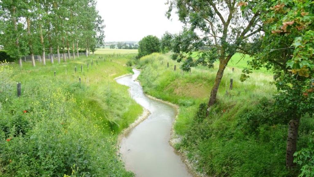 Photo de la Vendinelle après travaux de renaturation